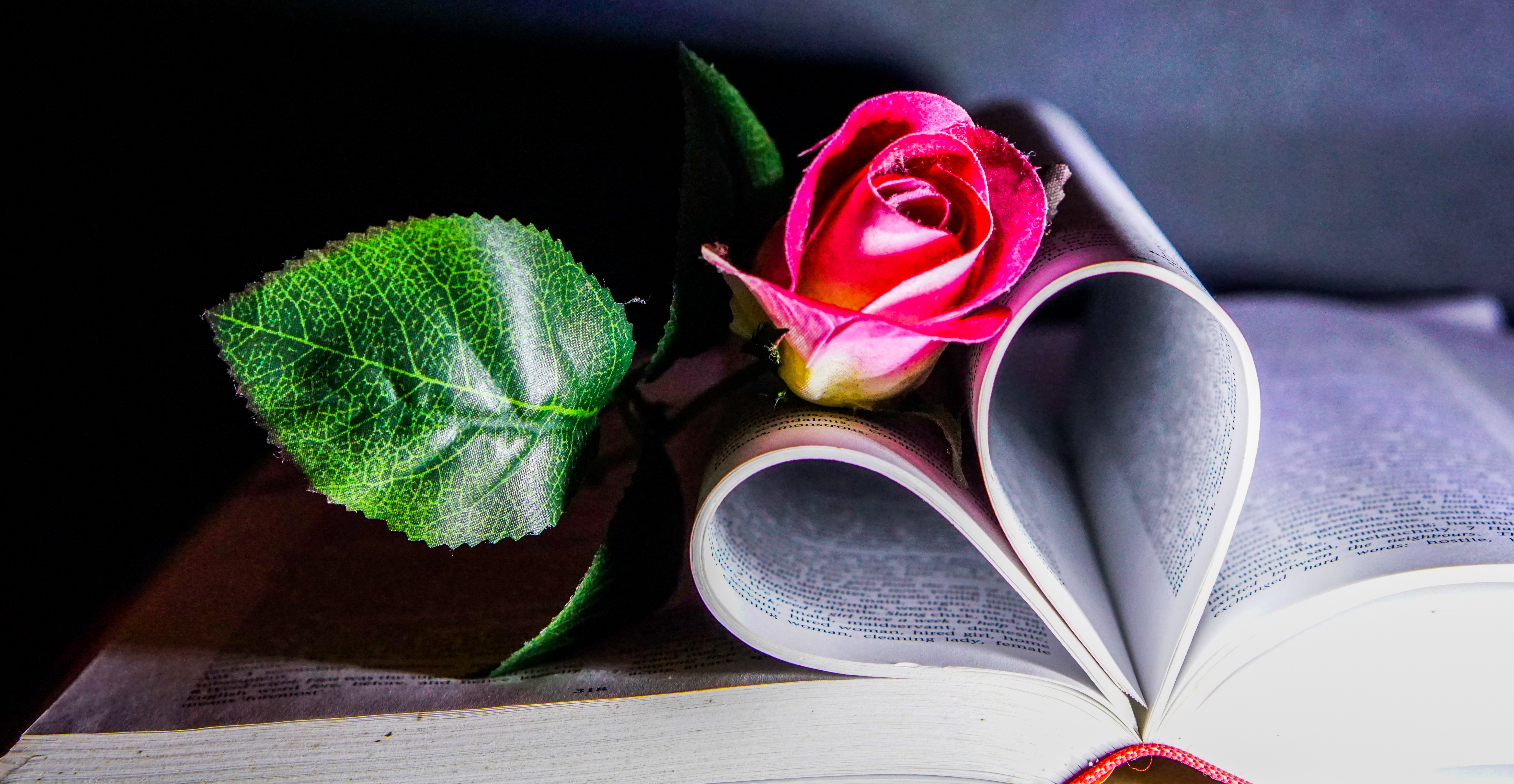 open book with roses and heart shaped pages